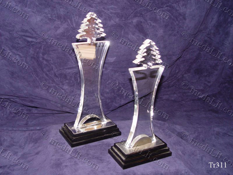 Cedar Tower Trophy - Image 3