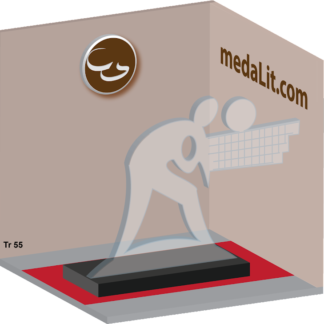 Volleyball Acrylic Trophy