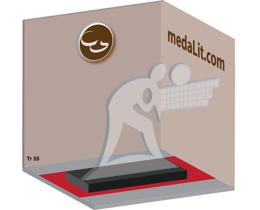 Volleyball Acrylic Trophy
